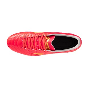 MORELIA NEO IV PRO