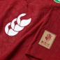 Maillot Lions Britanniques et Irlandais 2024/2025 Rouge Maillot Lions Britanniques et Irlandais 2024/2025 Rouge