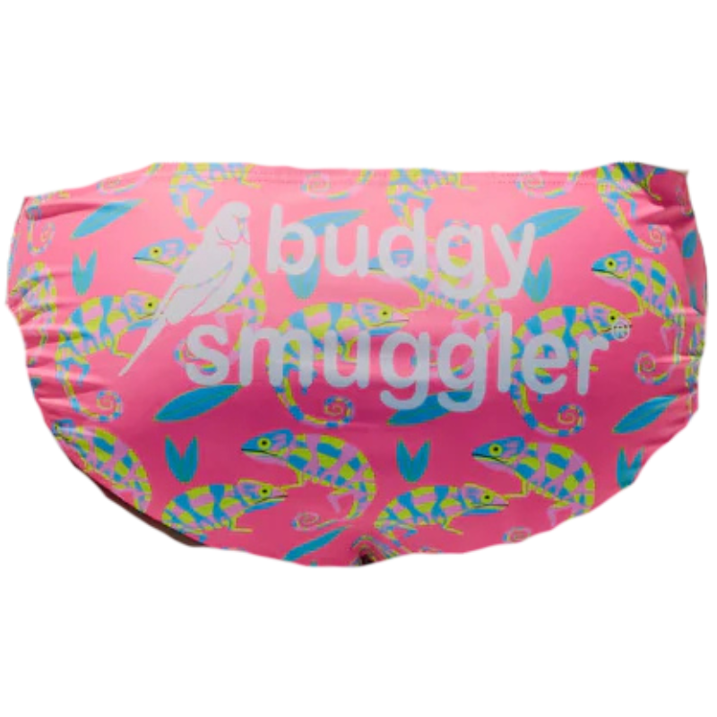 Busgy smuggler cameleons Busgy smuggler cameleons
