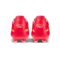 Morelia Neo IV Pro