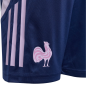 Short d'entrainement XV de France Bleu et violet Enfant