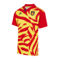 Maillot USAP Extérieur 2025-2026 sans sponsors
