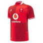 Maillot domicile rugby Pays de Galles Rouge Maillot domicile rugby Pays de Galles Rouge