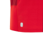Maillot domicile rugby Pays de Galles Rouge Maillot domicile rugby Pays de Galles Rouge