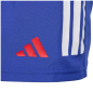 Short Exterieur Replica Bleu XV de France Adidas 2025/2026