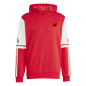 Sweat à capuche squadra