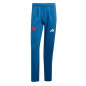 Pantalon de jogging équipe de France bleu