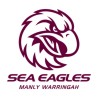 Sea Eagles